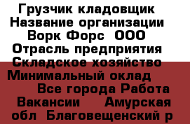 Грузчик-кладовщик › Название организации ­ Ворк Форс, ООО › Отрасль предприятия ­ Складское хозяйство › Минимальный оклад ­ 27 000 - Все города Работа » Вакансии   . Амурская обл.,Благовещенский р-н